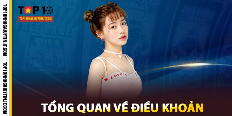 Tổng quan về Điều khoản